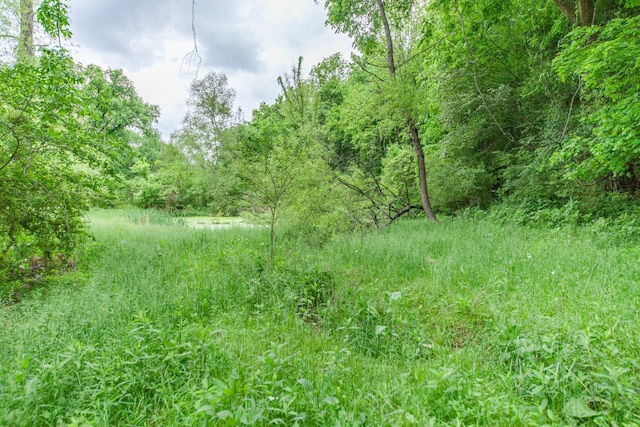 2046 Scribners Mill Rd, Culleoka, TN 38451 - view of woods