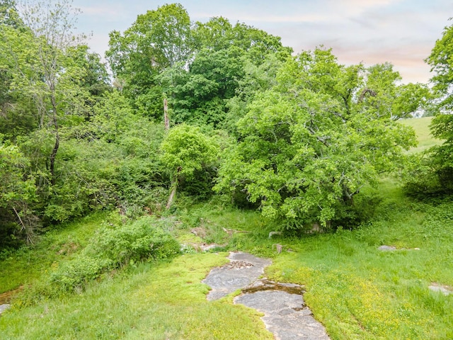 2046 Scribners Mill Rd, Culleoka, TN 38451 - view of yard