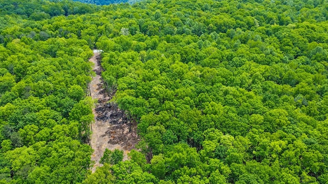 540 Cumberland Cove Rd, Monterey, TN 38574