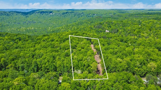 540 Cumberland Cove Rd, Monterey, TN 38574