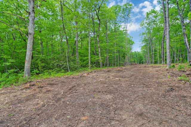 540 Cumberland Cove Rd, Monterey, TN 38574