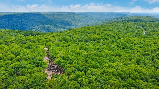 540 Cumberland Cove Rd, Monterey, TN 38574