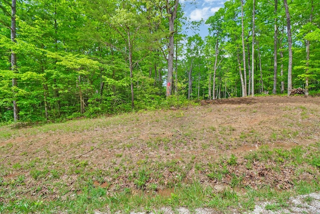 540 Cumberland Cove Rd, Monterey, TN 38574