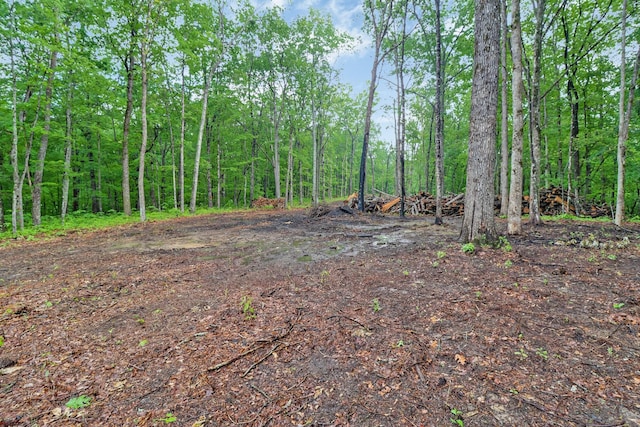 540 Cumberland Cove Rd, Monterey, TN 38574
