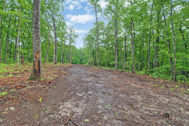 540 Cumberland Cove Rd, Monterey, TN 38574