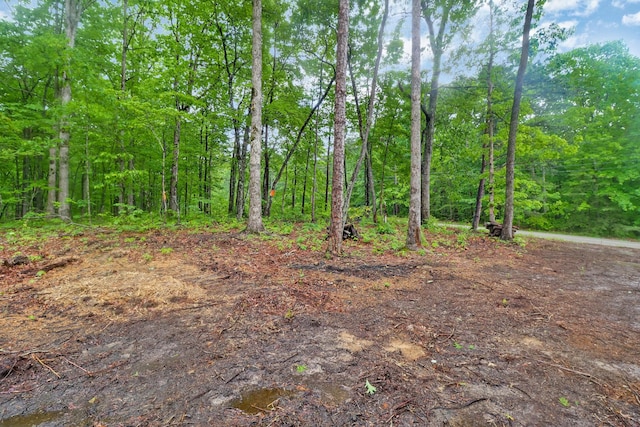 540 Cumberland Cove Rd, Monterey, TN 38574
