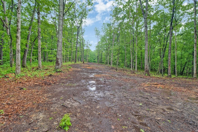 540 Cumberland Cove Rd, Monterey, TN 38574