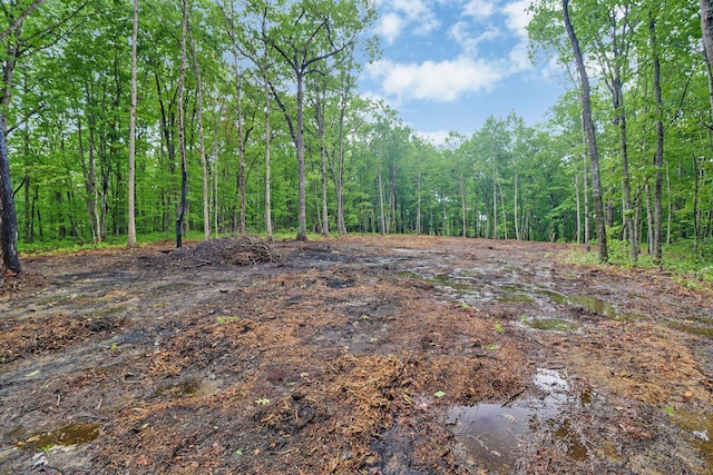 540 Cumberland Cove Rd, Monterey, TN 38574