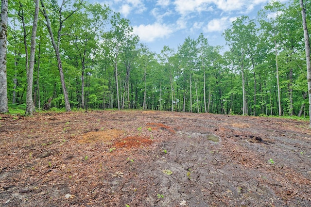 540 Cumberland Cove Rd, Monterey, TN 38574