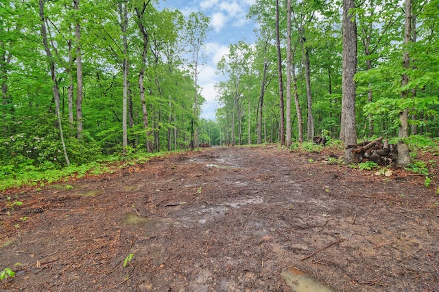 540 Cumberland Cove Rd, Monterey, TN 38574