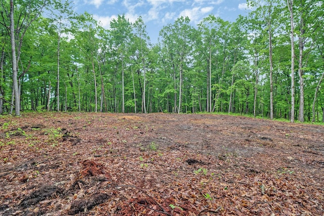 540 Cumberland Cove Rd, Monterey, TN 38574