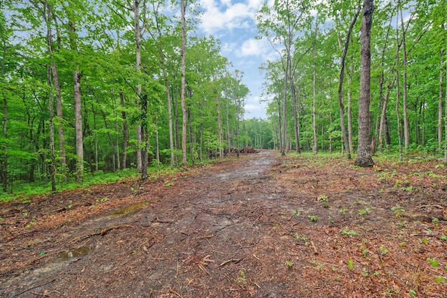 540 Cumberland Cove Rd, Monterey, TN 38574
