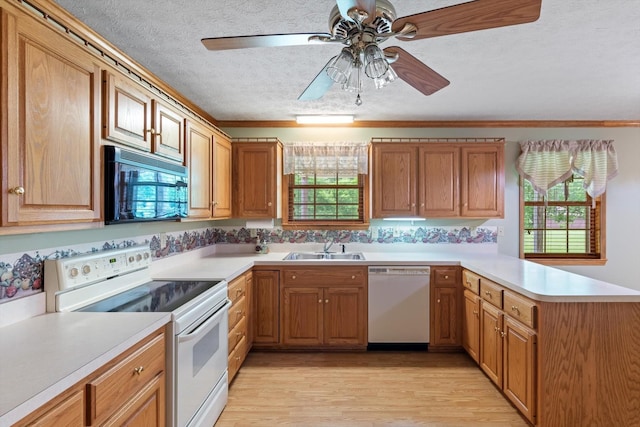 1208 Pommel Ct, Springfield, TN 37172 - photo 8