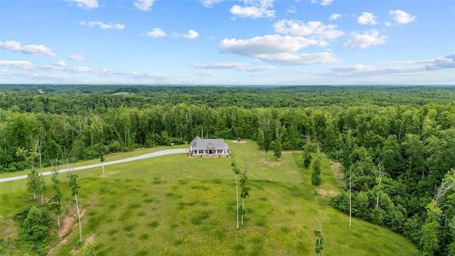 3571 Old Blacktop Rd, Mc Ewen, TN 37101 - view from above of property featuring a forest