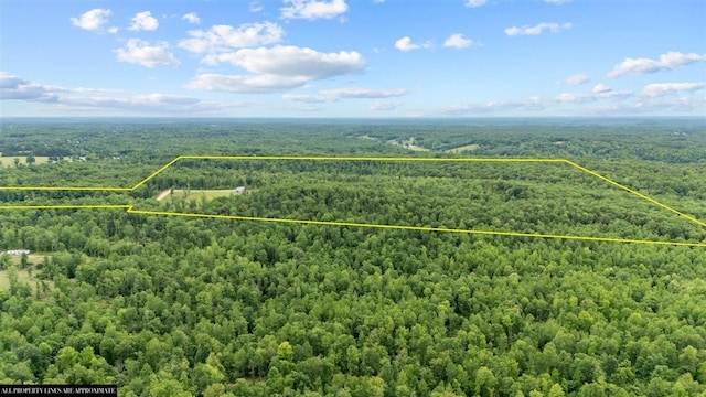 3571 Old Blacktop Rd, Mc Ewen, TN 37101 - aerial view of property's location featuring a forest and property parcel outlined