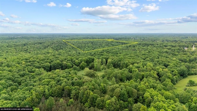 3571 Old Blacktop Rd, Mc Ewen, TN 37101 - aerial overview of property's location featuring a heavily wooded area and property parcel outlined