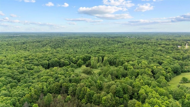 3571 Old Blacktop Rd, Mc Ewen, TN 37101 - bird's eye view of a heavily wooded area