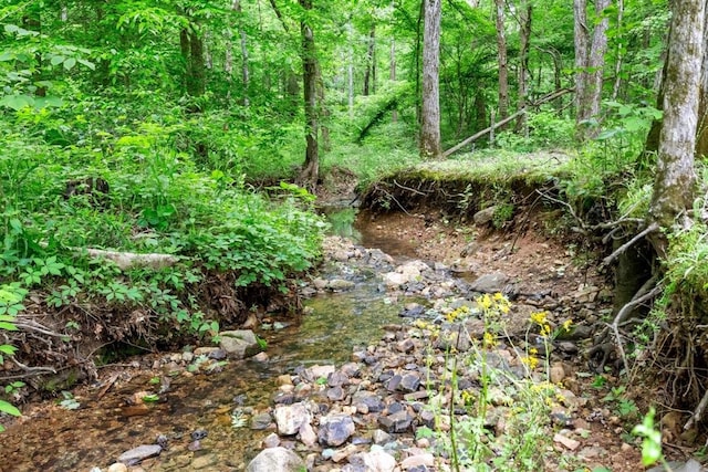 3571 Old Blacktop Rd, Mc Ewen, TN 37101 - view of undeveloped land