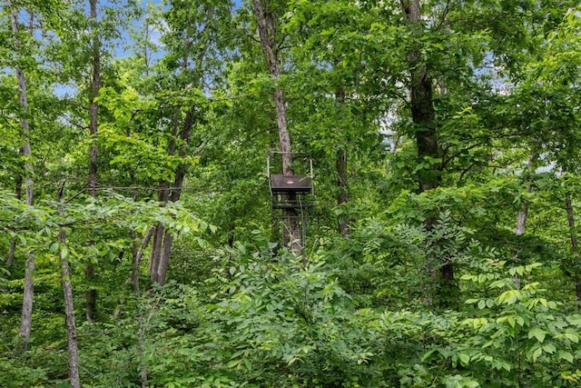 3571 Old Blacktop Rd, Mc Ewen, TN 37101 - view of wooded area