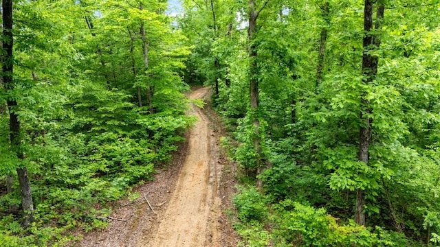 3571 Old Blacktop Rd, Mc Ewen, TN 37101 - view of wooded area