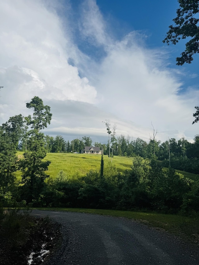 3571 Old Blacktop Rd, Mc Ewen, TN 37101 - view of road
