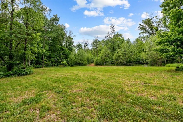 3571 Old Blacktop Rd, Mc Ewen, TN 37101 - view of green lawn with a view of trees