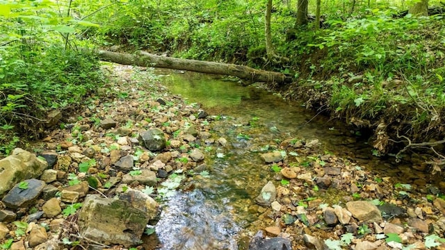 3571 Old Blacktop Rd, Mc Ewen, TN 37101 - view of nature