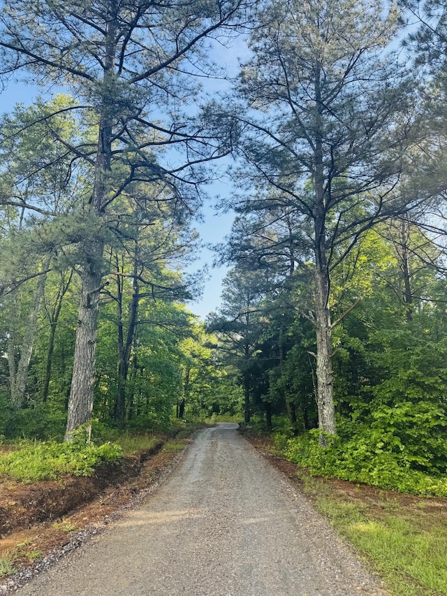 3571 Old Blacktop Rd, Mc Ewen, TN 37101 - view of asphalt street with a view of trees