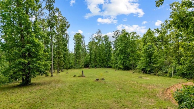 3571 Old Blacktop Rd, Mc Ewen, TN 37101 - view of green lawn with a wooded view