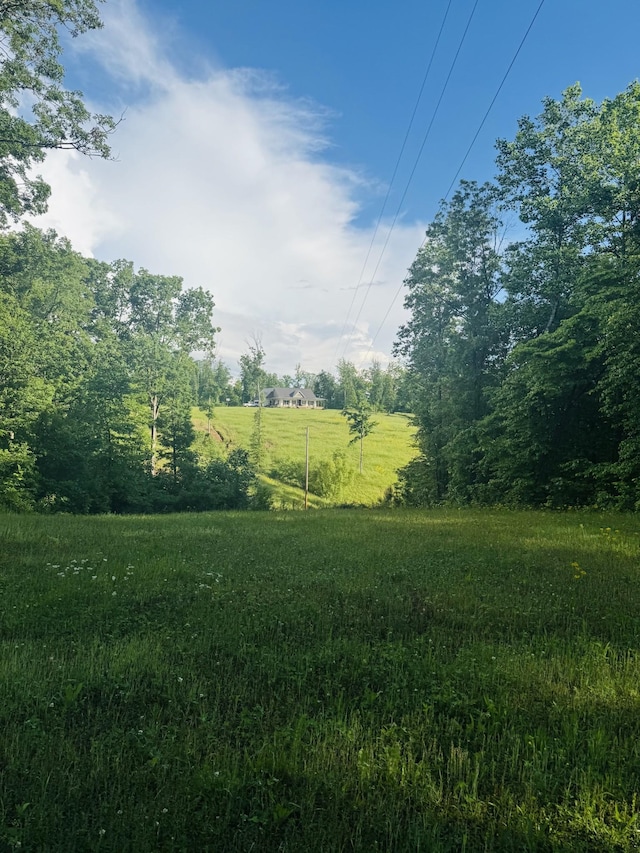3571 Old Blacktop Rd, Mc Ewen, TN 37101 - view of yard