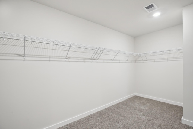 4621 Winslet Dr, Smyrna, TN 37167 - spacious closet with carpet flooring