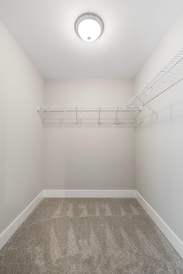 513 Westboro Dr, Nashville, TN 37209 - spacious closet featuring carpet