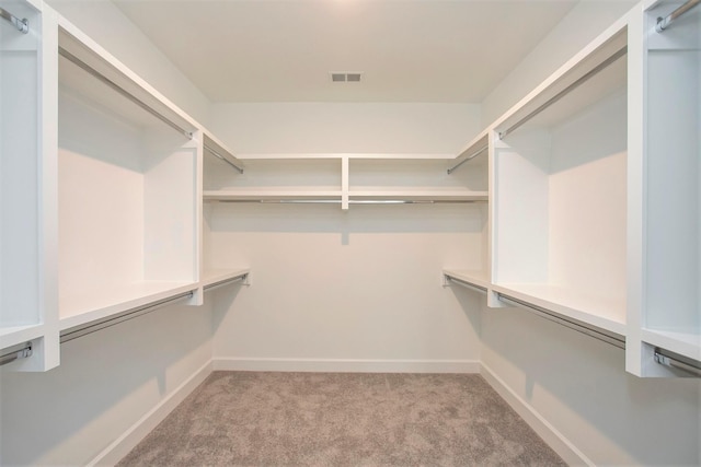 113 W Cassa Way, Mount Juliet, TN 37122 - walk in closet featuring light colored carpet