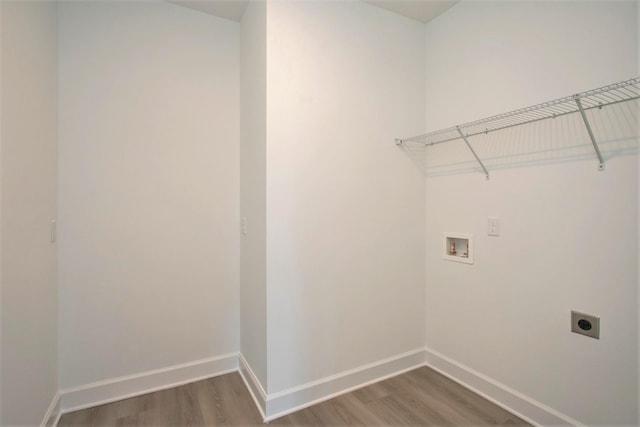 113 W Cassa Way, Mount Juliet, TN 37122 - washroom with hookup for an electric dryer, washer hookup, wood finished floors, and baseboards