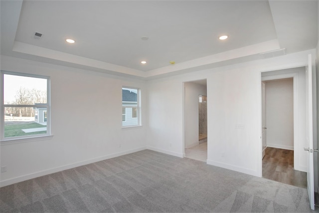 113 W Cassa Way, Mount Juliet, TN 37122 - empty room with a tray ceiling, light carpet, plenty of natural light, and recessed lighting