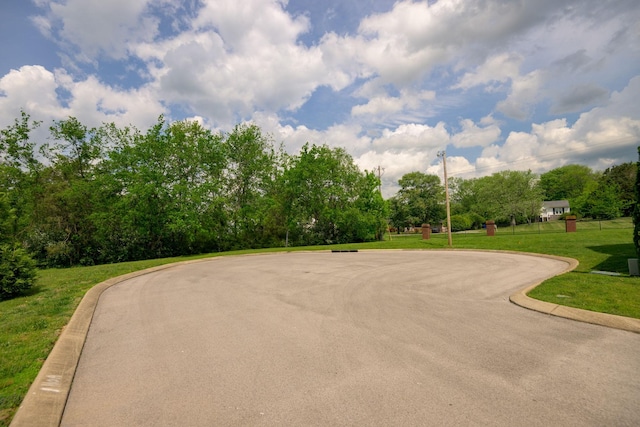 view of property's community featuring a lawn and view of scattered trees