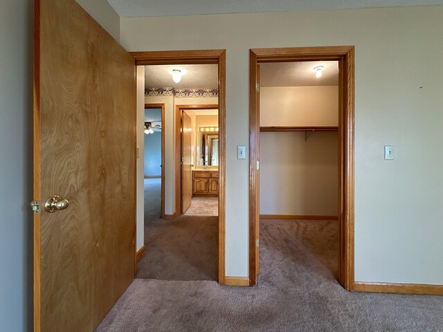 311 Locust St, Alexandria, TN 37012 - hallway with carpet floors and baseboards