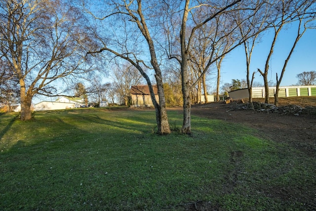 311 Locust St, Alexandria, TN 37012 - view of grassy yard