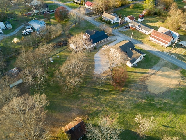 311 Locust St, Alexandria, TN 37012 - view of property location