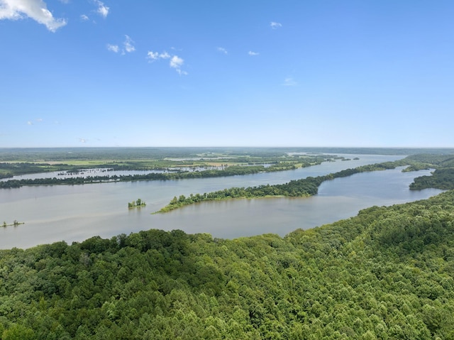 9971 Birdsong Rd, Holladay, TN 38341