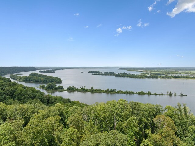 9971 Birdsong Rd, Holladay, TN 38341