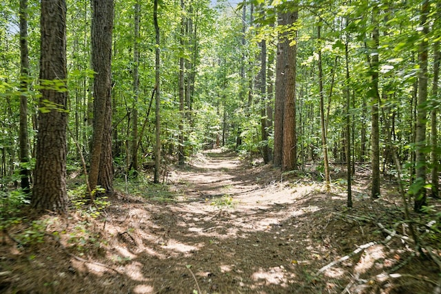 9971 Birdsong Rd, Holladay, TN 38341