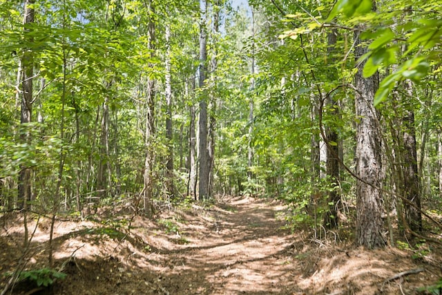 9971 Birdsong Rd, Holladay, TN 38341