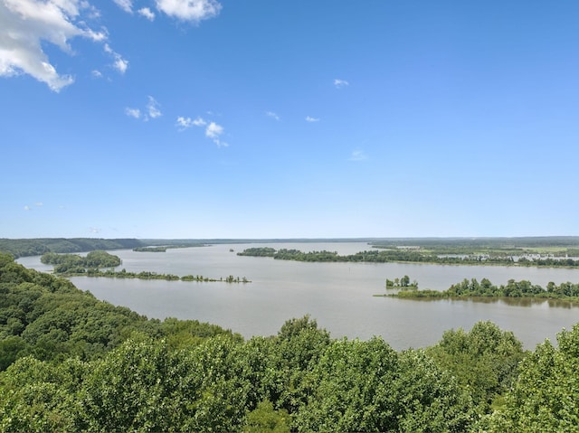 9971 Birdsong Rd, Holladay, TN 38341