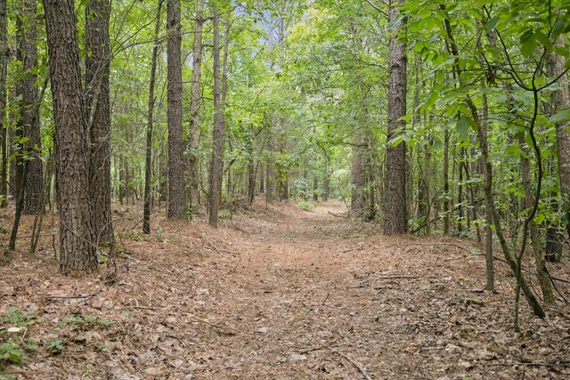 9971 Birdsong Rd, Holladay, TN 38341