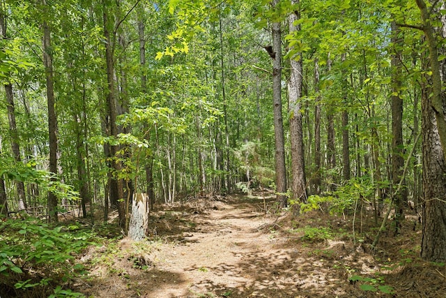 9971 Birdsong Rd, Holladay, TN 38341