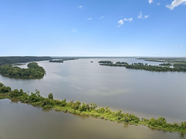 9971 Birdsong Rd, Holladay, TN 38341