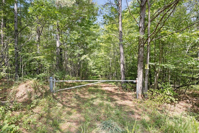 9971 Birdsong Rd, Holladay, TN 38341