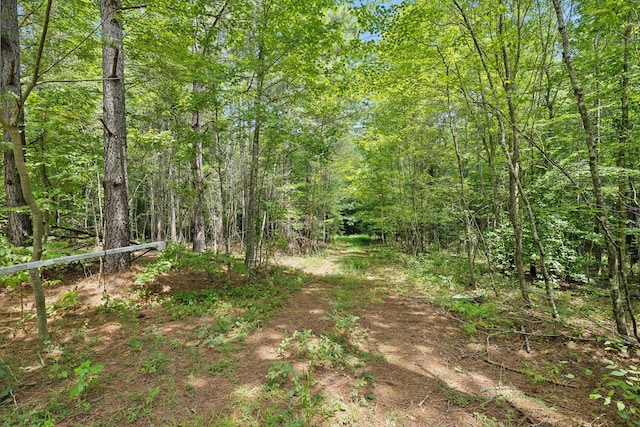 9971 Birdsong Rd, Holladay, TN 38341