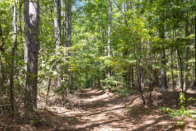 9971 Birdsong Rd, Holladay, TN 38341
